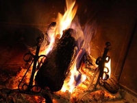 Cover image for 'Una giornata d'autunno..'